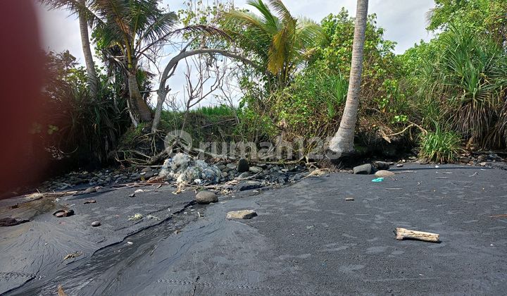 Land of Los Pantai Pasut – 45.75 Ares With Sunset View