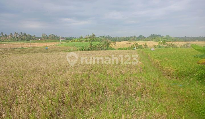 Tanah 82 Are Sewa 20 Tahun Lokasi Strategis