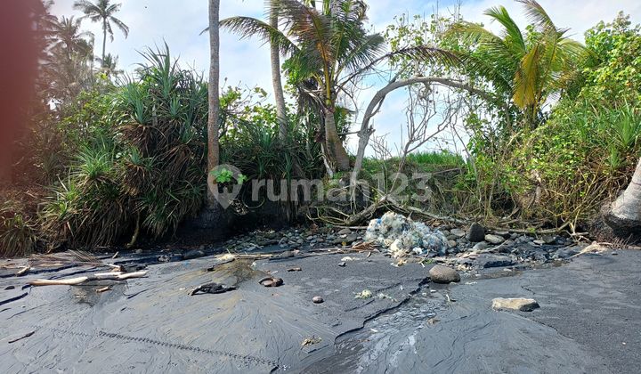 Land of Los Pantai Pasut – 45.75 Ares With Sunset View