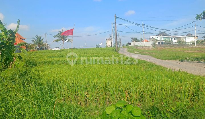 For Rent: 15 Are Land in Cemagi with Ocean and Sunset View For Rent: 15 Are Land in Cemagi with Ocean and Sunset View