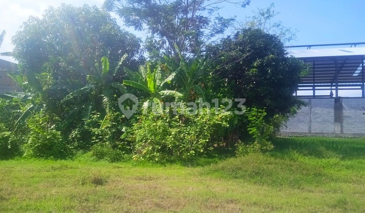 Land Area 8100 Square Meters Strategic Location in Berbah Sleman Land Area 8100 Square Meters Strategic Location in Berbah Sleman