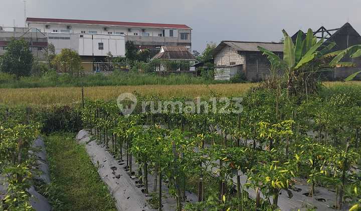 Tanah Sawah Luas 855 Meter Persegi Lokasi Dekat Kampus UII Ngaglik Sleman. Tanah Sawah Luas 855 Meter Persegi Lokasi Dekat Kampus UII Ngaglik Sleman.