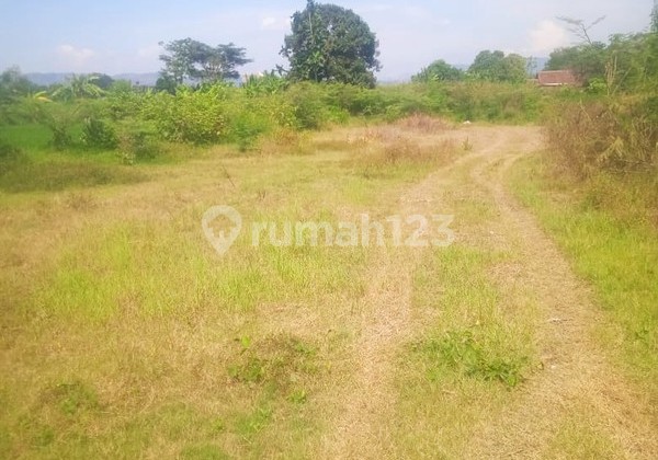 Tanah Luas 8100 Meter Persegi Lokasi Strategis di Berbah Sleman