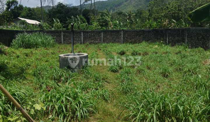 Wide 830 square meter land suitable for agriculture or agritourism, located in Seloharjo, Pundong, Bantul. Wide 830 square meter land suitable for agriculture or agritourism, located in Seloharjo, Pundong, Bantul.