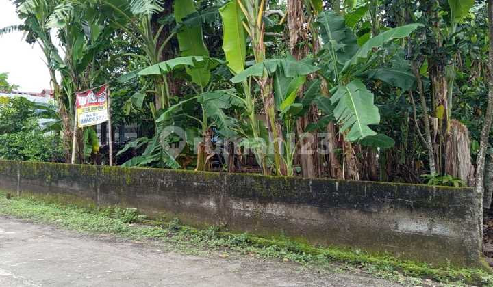 For Rent Land in Strategic Location in South Ring Road Area