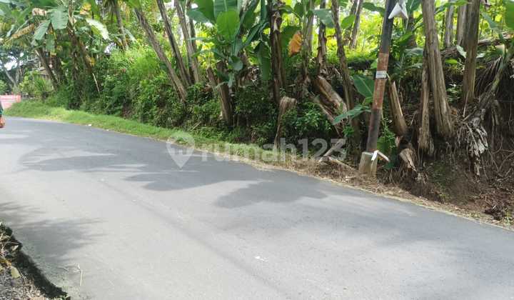 Productive Land for Sale in a Strategic Location in the Girimulyo Area - Kulon Progo