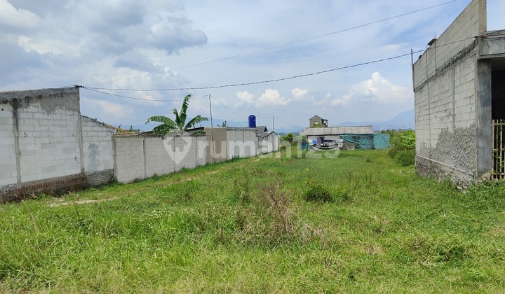 Tanah Murah 1 Jutaan di Rancaekek Luas 295m² Tanah Murah 1 Jutaan di Rancaekek Luas 295m²