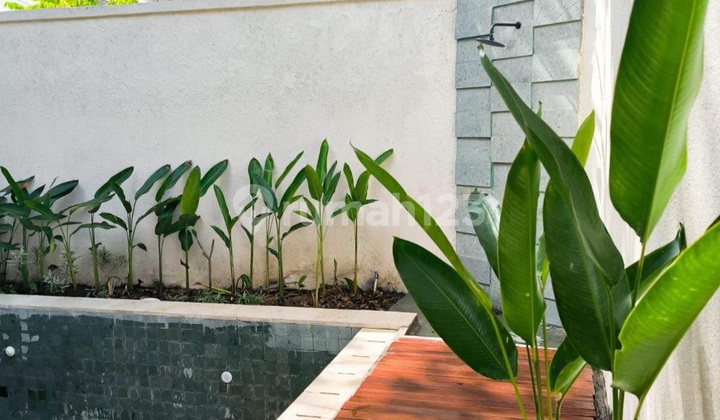 Murah.. Puri Gading Jimbaran, 1 Bedroom. Full Furnish Murah.. Puri Gading Jimbaran, 1 Bedroom. Full Furnish