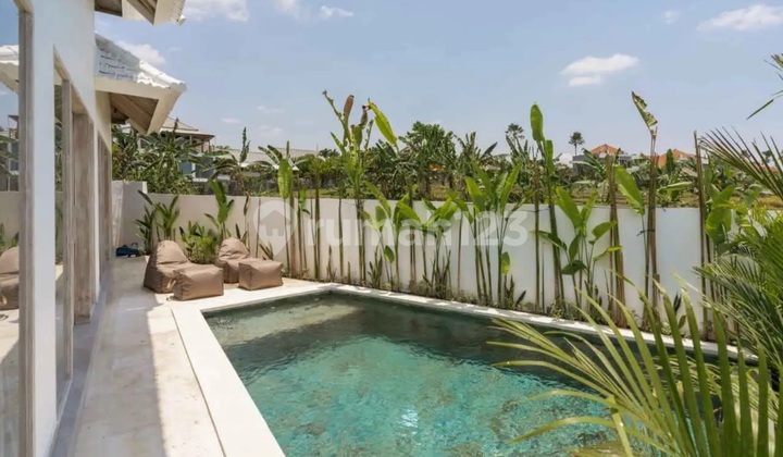 Villa Mezzanine Umalas. Near Canggu, Kerobokan. Full Furnish