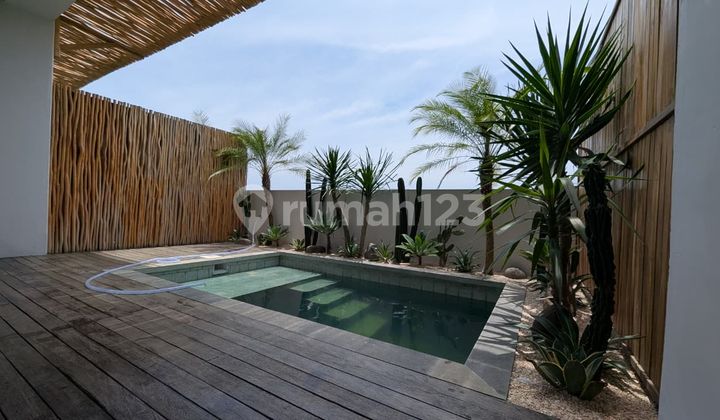 Brand New Apartment In Pererenan. Full Furnish.