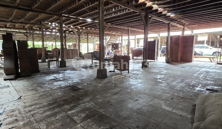 Step, Rare. Bypass Width 10 Are with Frontage 35 Meters. Sea View