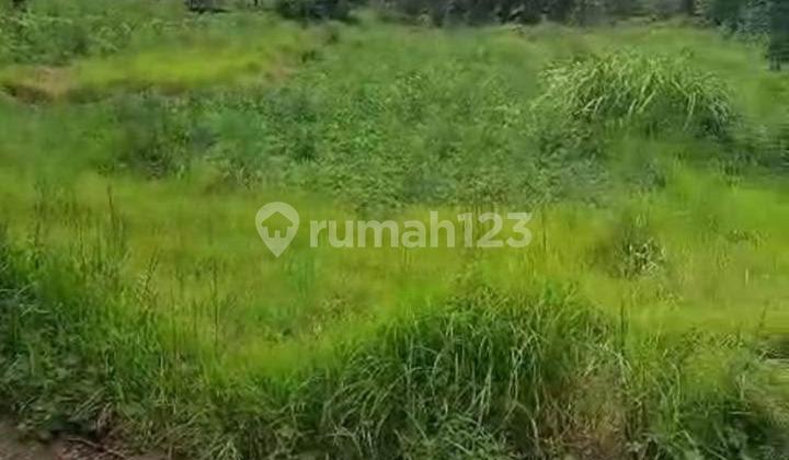 Tanah Datar Tulamben, Karangasem. Zona Kuning