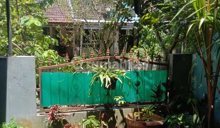 1 Story Habitable House In Paradise Hill Serpong City 1 Story Habitable House In Paradise Hill Serpong City