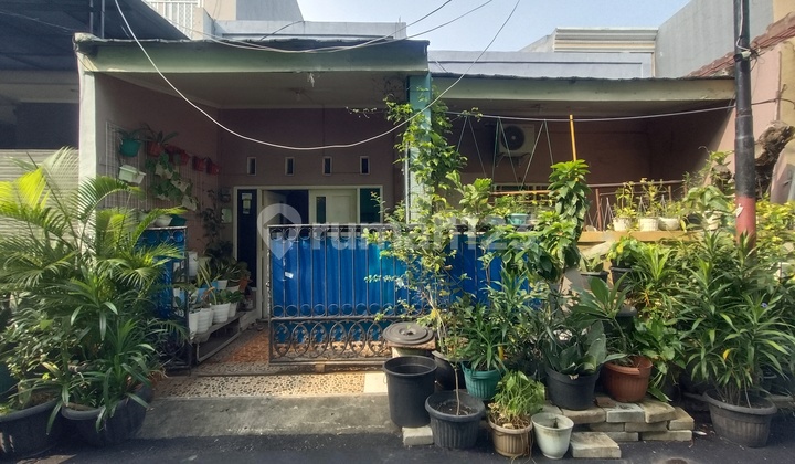 Rumah Di Komplek Bea Cukai Sukapura Jakarta Utara Rumah Di Komplek Bea Cukai Sukapura Jakarta Utara