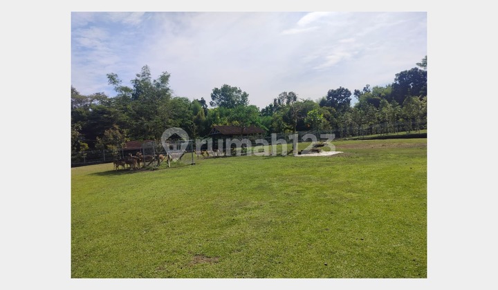 SHM Land with Wide Yard in Wedomartani, Ngemplak, Sleman SHM Land with Wide Yard in Wedomartani, Ngemplak, Sleman