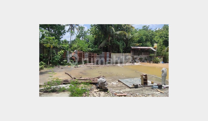 Agricultural SHM Land in Pajangan Near Goa Selarong, Bantul Agricultural SHM Land in Pajangan Near Goa Selarong, Bantul