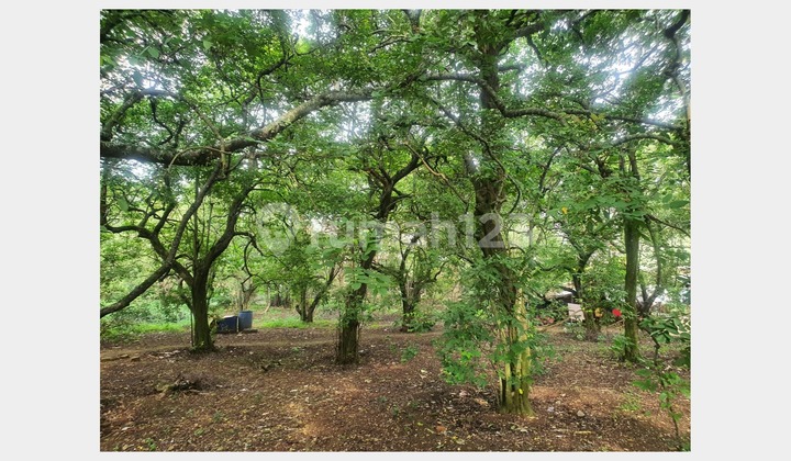 Wide Land Cheap Location Developing Pancoran Mas Depok