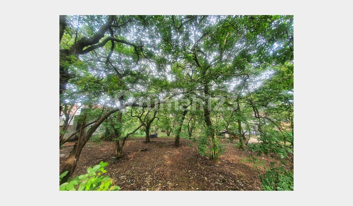 Tanah Luas Kawasan Ramai Hunian di Rangkapan Jaya Tanah Luas Kawasan Ramai Hunian di Rangkapan Jaya