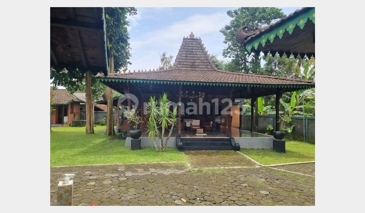 Beautiful Spacious Villa with Swimming Pool in Turi Sleman