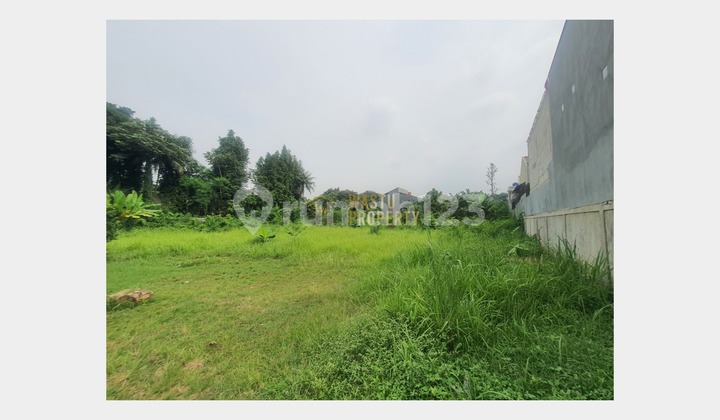 Wide, Affordable Land in the Developing Cipedak Jagakarsa Area