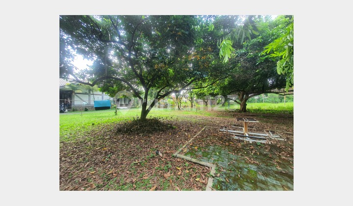 Tanah Kavling Siap Bangun Dekat Sekolah Cita Persada Cinere Tanah Kavling Siap Bangun Dekat Sekolah Cita Persada Cinere