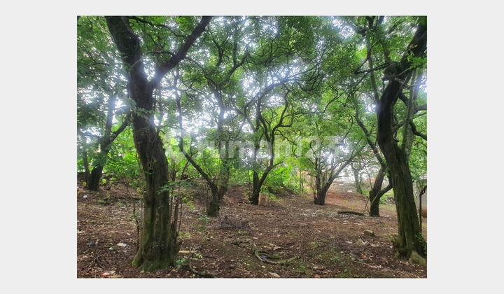 Tanah Luas Harga Nego Dekat Detos, Rangkapan Jaya Tanah Luas Harga Nego Dekat Detos, Rangkapan Jaya