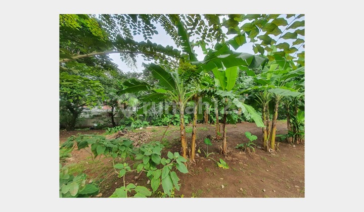 Tanah SHM Harga Nego Lahan Luas di Rangkapan Jaya Tanah SHM Harga Nego Lahan Luas di Rangkapan Jaya