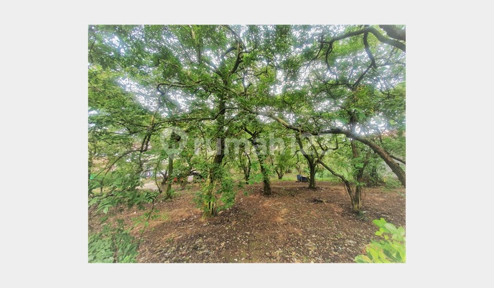 Tanah SHM Dekat Tol Sawangan 1, Lahan Luas Harga Nego