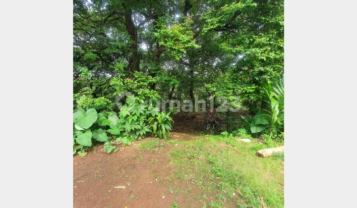 Tanah Luas di Rangkapan Jaya Dekat Tol Sawangan Tanah Luas di Rangkapan Jaya Dekat Tol Sawangan