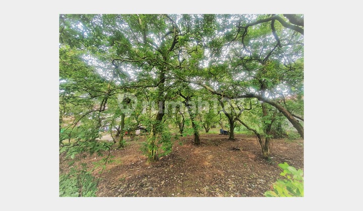 Large Land in Pancoran Mas Near Sawangan Toll Gate Entrance