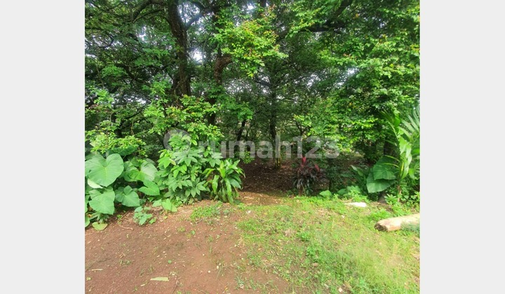 Tanah Murah Jarang Ada Area Rangkapan Jaya Dekat Detos