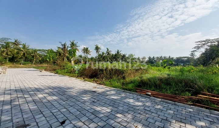 Tanah Murah Jogja Dekat YIA Tanah Murah Jogja Dekat YIA