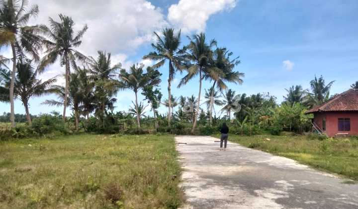 Cheap Land in Jogja, 10 Minutes to YIA Airport