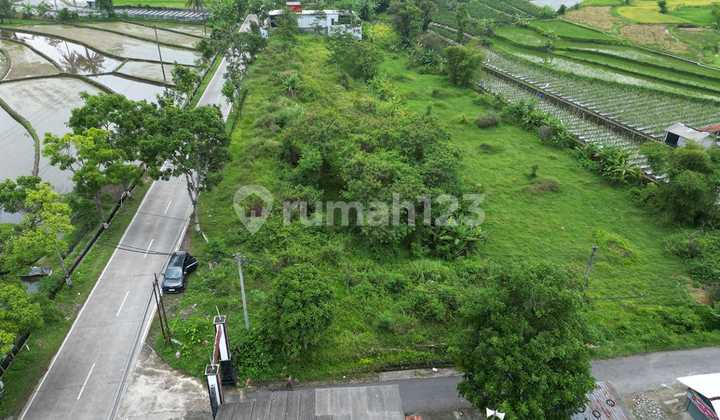 Di Jual Tanah Mungkid Magelang Dekat Candi Borobudur