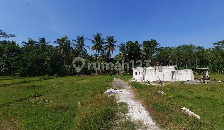 Tanah Murah Jogja Dekat SMA N 1 Sentolo