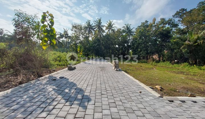 Tanah Strategis SHM Murah Di Tawangsari Kulon Progo Tanah Strategis SHM Murah Di Tawangsari Kulon Progo