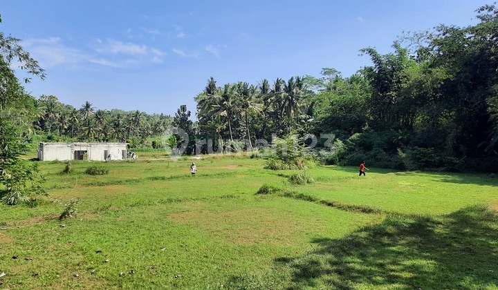 Tanah Murah Jogja Dekat Polsek Sentolo