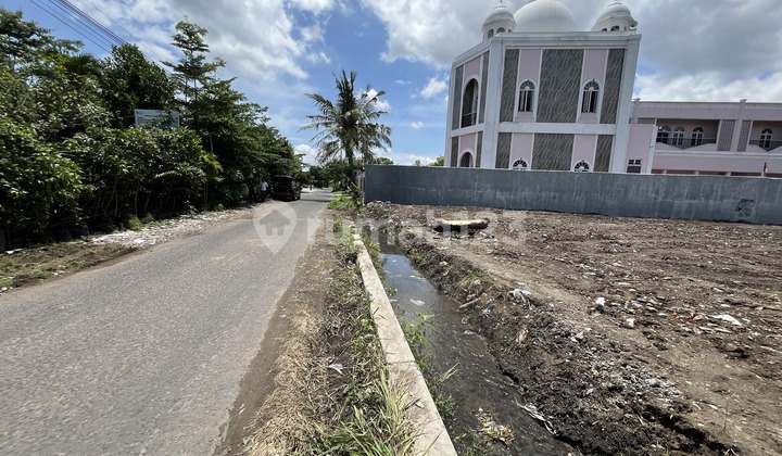 Tanah Maguwoharjo Sleman, Jalan Aspal & Rata