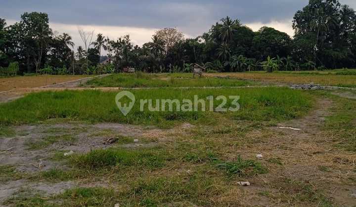 Affordable Pandanaran Land Plots, 1 Minute to Star Beach Swimming Pool