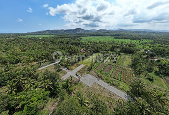 Tanah Murah Jogja Dekat YIA Tanah Murah Jogja Dekat YIA
