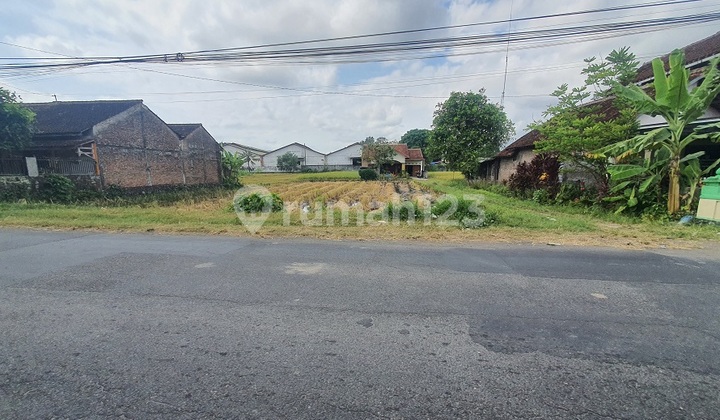 Cheap Land in Jogja Near Prambanan Temple Cheap Land in Jogja Near Prambanan Temple