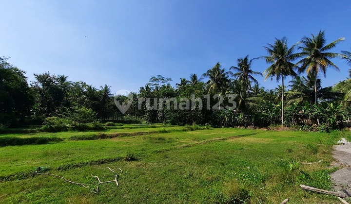 Nanggulan Kulonprogo - Tanah Murah Jogja Dekat Terminal Sentolo