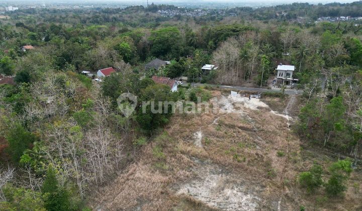 Jual Tanah Murah Gamping Jogja Dekat Rsu Sedayu Jual Tanah Murah Gamping Jogja Dekat Rsu Sedayu