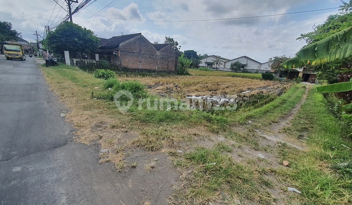 Cheap Land in Jogja Near Prambanan Temple Cheap Land in Jogja Near Prambanan Temple
