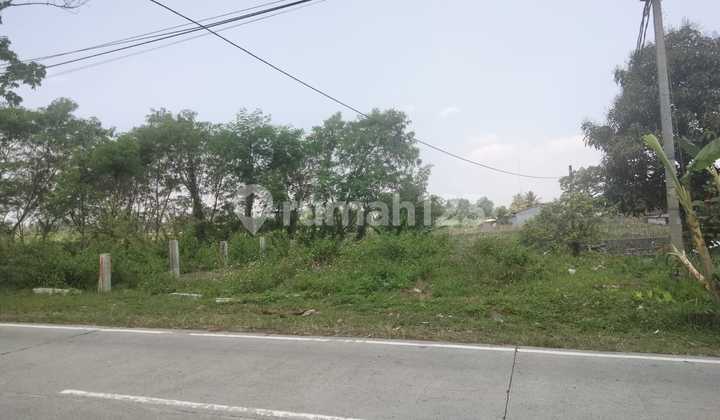 Tanah Kavling Siap Bangun Dekat Candi Borobudur Tanah Kavling Siap Bangun Dekat Candi Borobudur