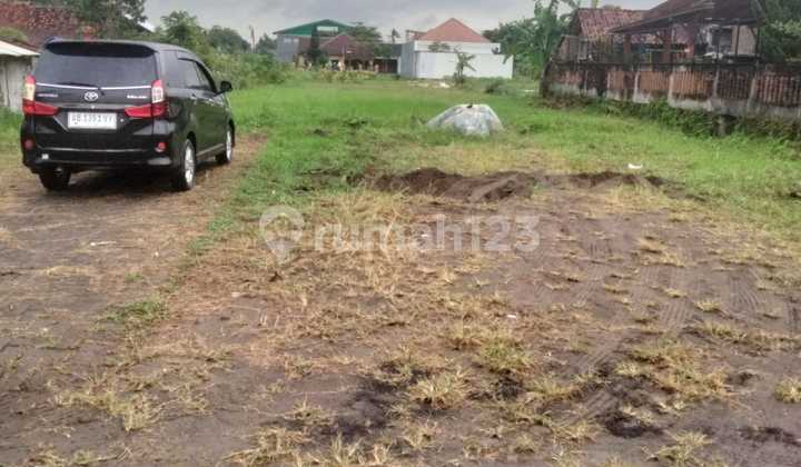 Tanah Murah Jogja Dekat Home Stay Sawah Joglo Tanah Murah Jogja Dekat Home Stay Sawah Joglo