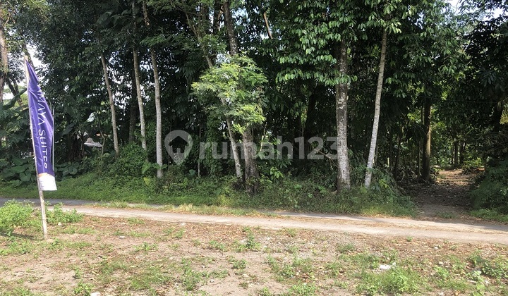 Sleman Jogjakarta - Tanah Murah Jogja Dekat Ponpes Pandanaran Kaliurang