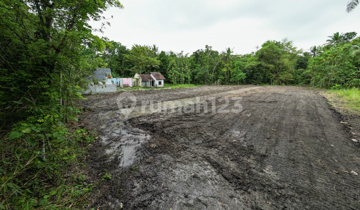 Kasihan Bantul - Tanah Murah Jogja Dekat UMY Kasihan Bantul - Tanah Murah Jogja Dekat UMY