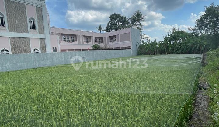 2 Minutes to UAD Campus 3, Selling Plots Inside Ring Road Ready to Build 2 Minutes to UAD Campus 3, Selling Plots Inside Ring Road Ready to Build