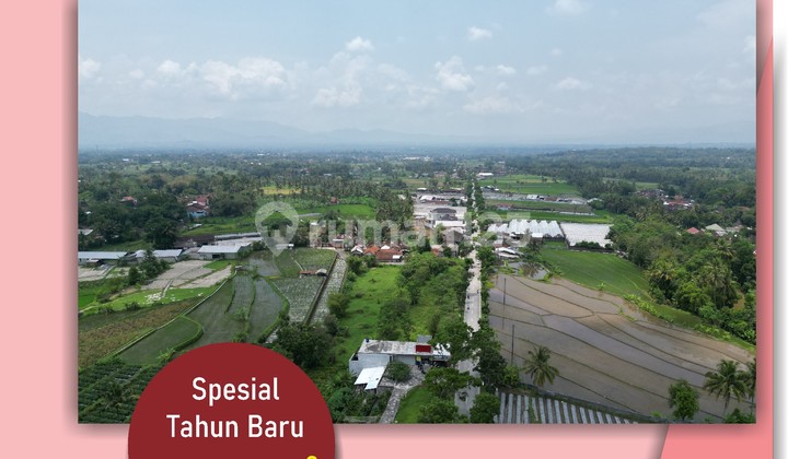 Land near Borobudur Temple, Magelang, a strategic location with a beautiful environment and continuously rising investment value. Land near Borobudur Temple, Magelang, a strategic location with a beautiful environment and continuously rising investment value.